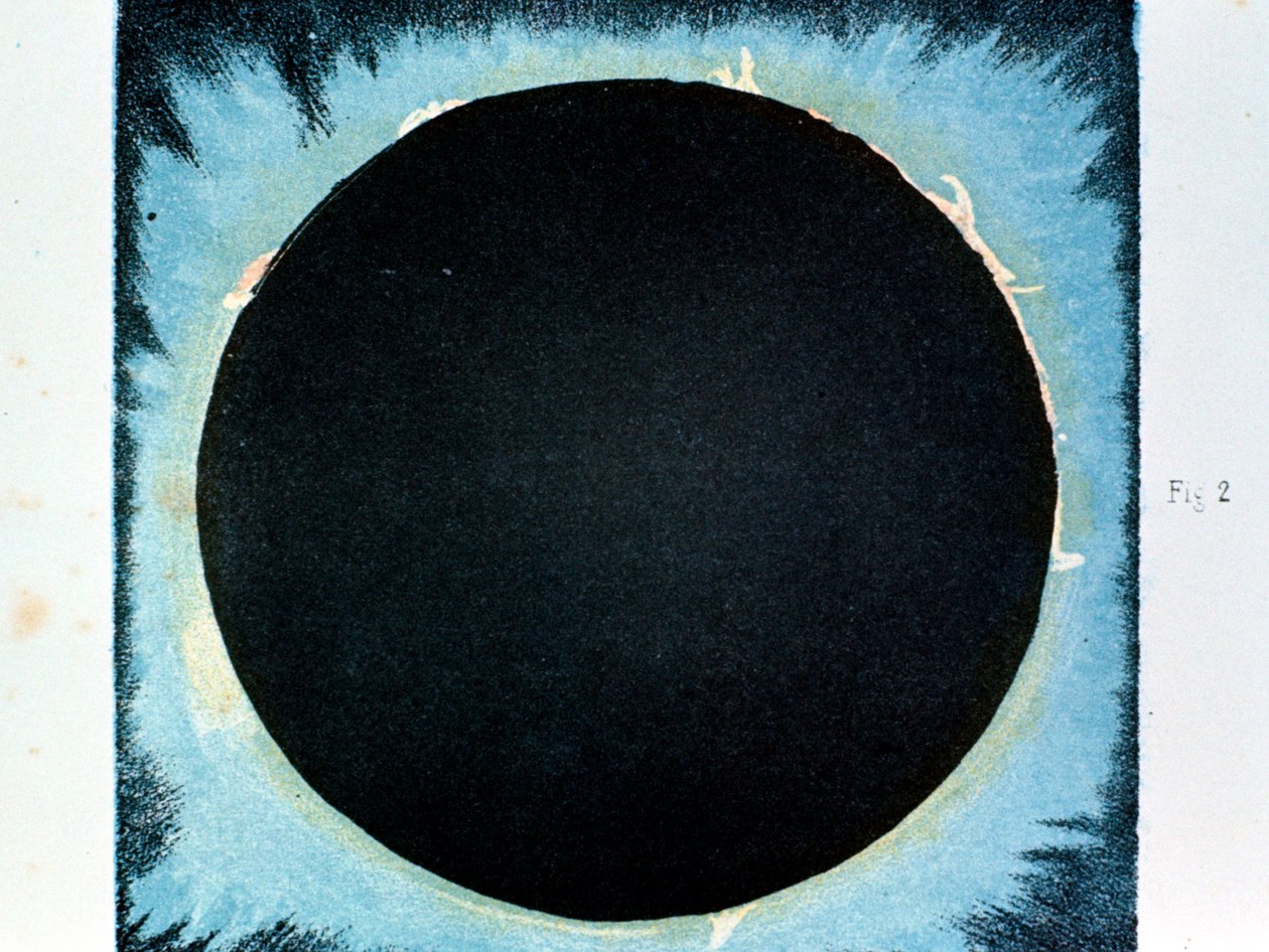Solar Corona and Prominences 1860-1870 by Unbekannt