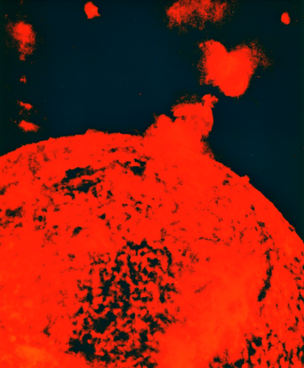 Solar Eruption by Unbekannt