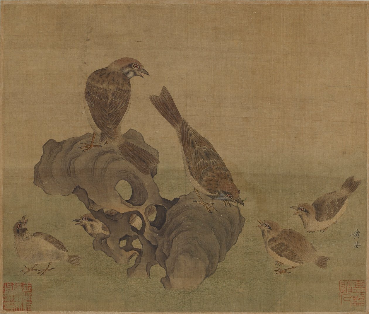 Sparrows feeding their young, Ming or Qing dynasty, 17th century by Unbekannt