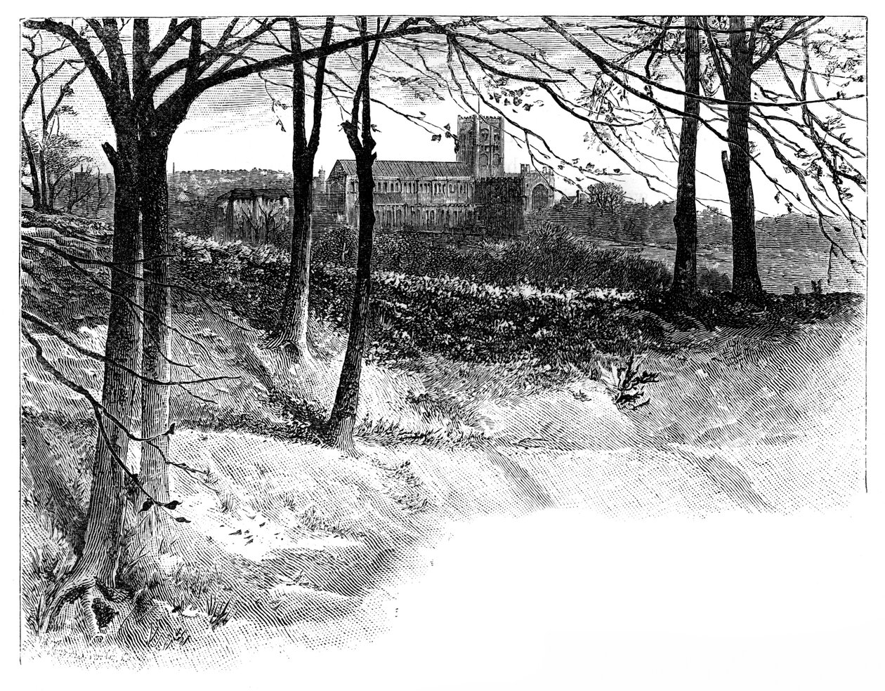 St Albans, from Verulam by Unbekannt