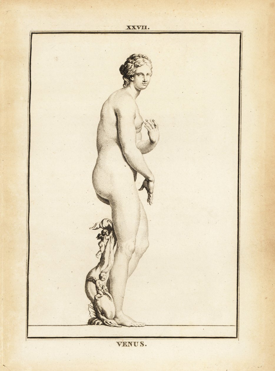 Statue of Venus, Roman goddess of love, beauty, sex and fertility by Unbekannt