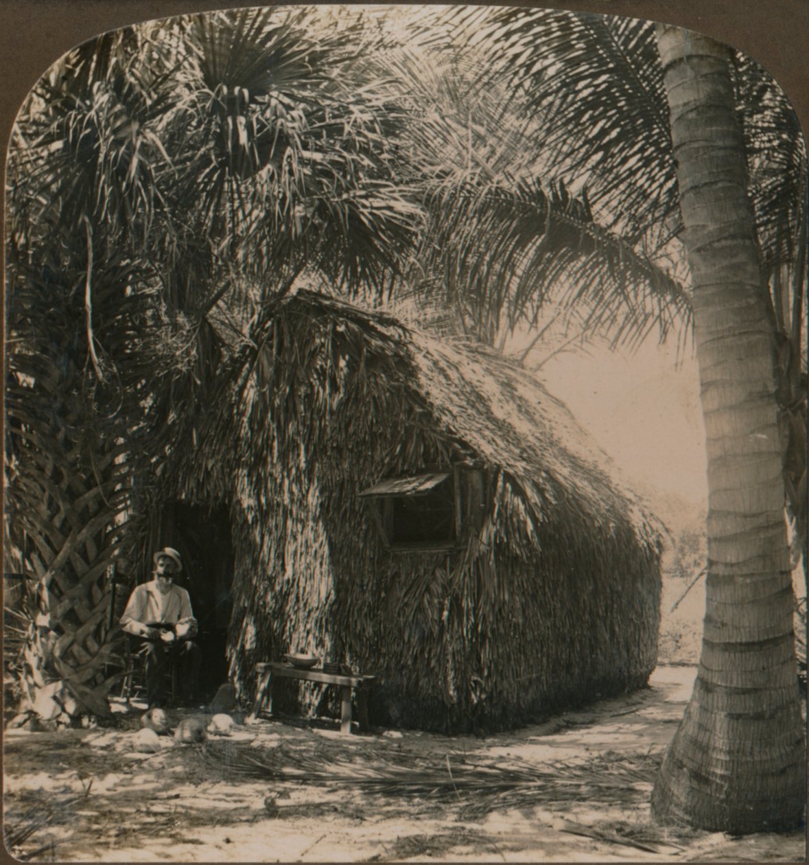 Thatched Cottage in Cocoanut Grove, Florida, U.S.A. by Unbekannt