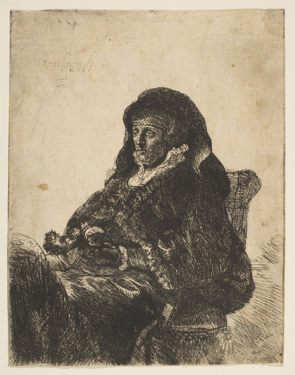 The Artist