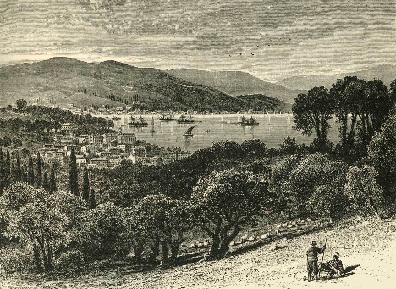 The Bosphorus, from Therapia, 1890 by Unbekannt