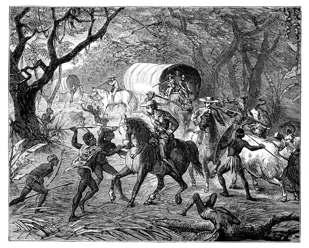 The Caffre War: Natives attacking a convoy, 19th century by Unbekannt
