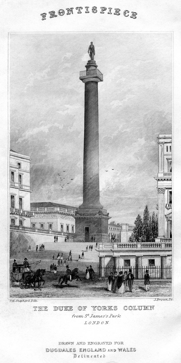 The Duke of York's Column from St James's Park, Westminster, London ...