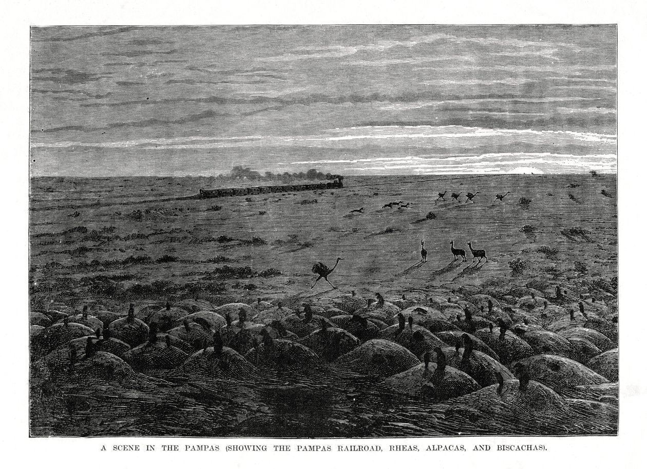 The Pampas Railroad, South American Lowlands, 1877 by Unbekannt