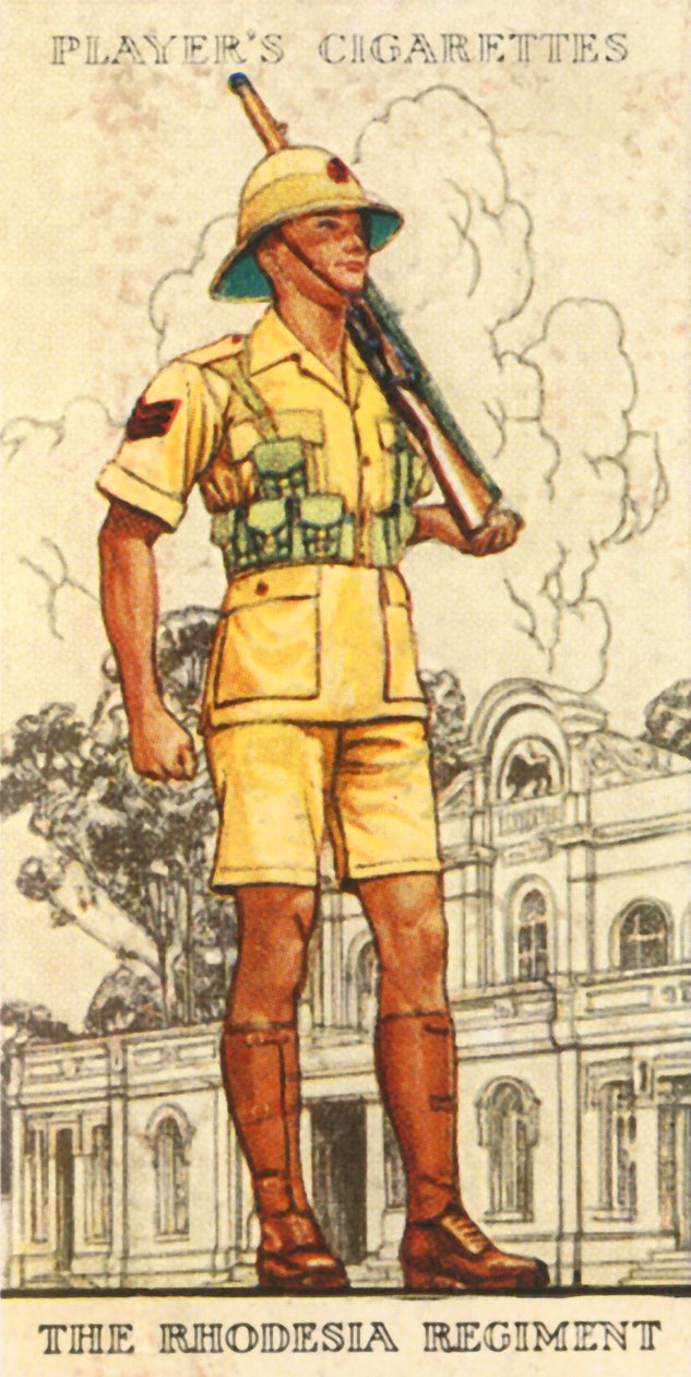 The Rhodesia Regiment by Unbekannt: Buy fine art print