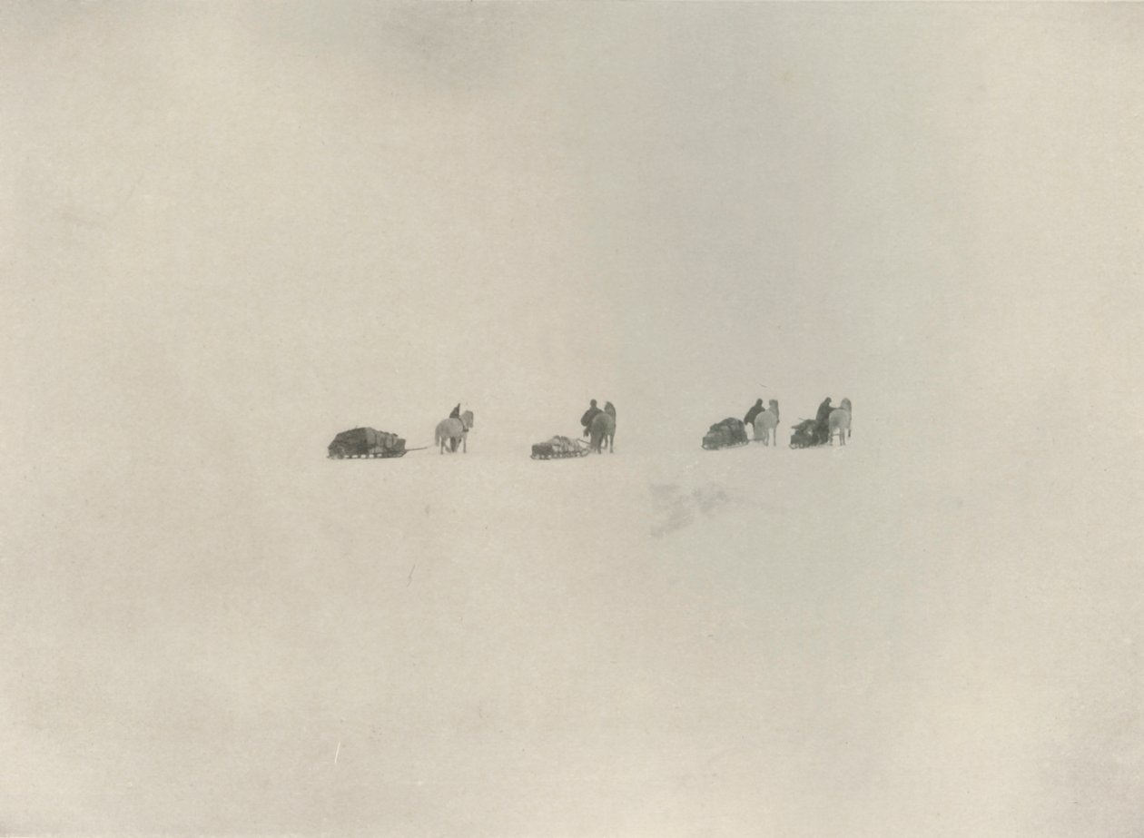 The Southern Party Marching into the White Unknown by Unbekannt