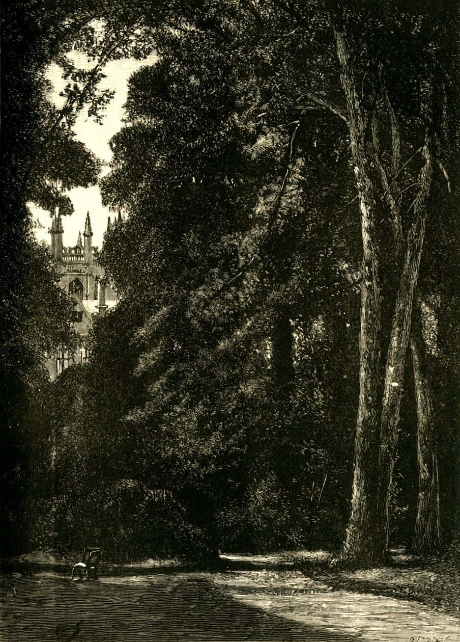 The Tower of Merton, from the Garden, 1898 by Unbekannt