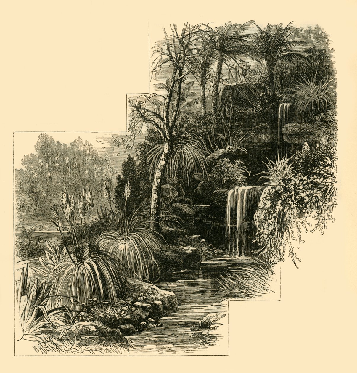 The Tropical Gardens, Battersea Park, c1878 by Unbekannt