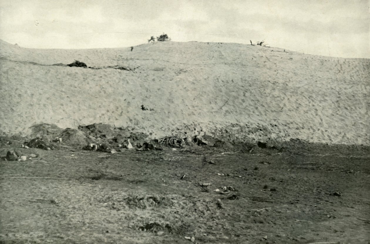 The Turkish Defeat on the Suez Canal by Unbekannt