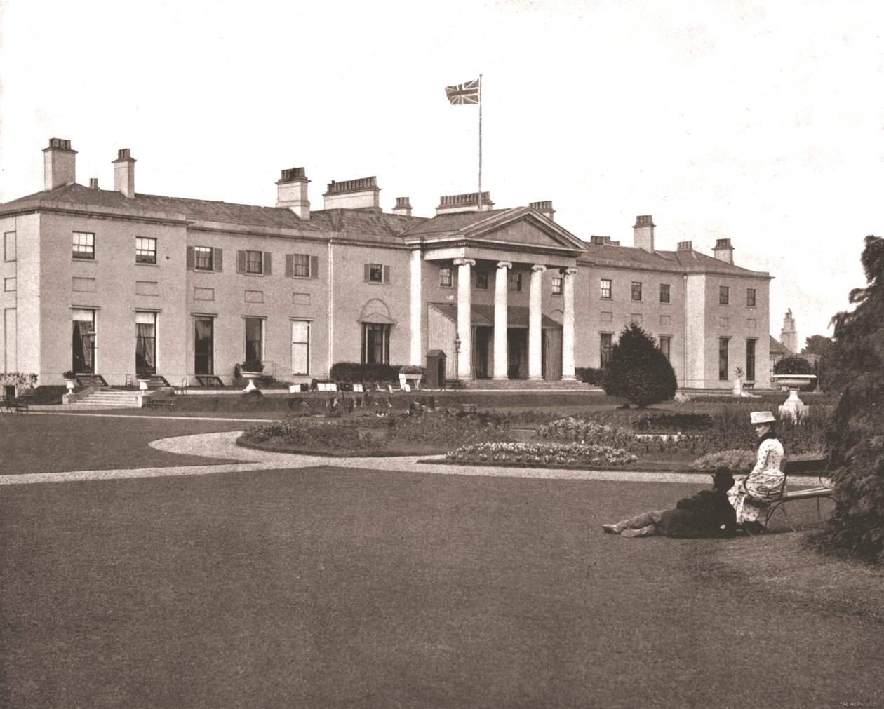 The Viceroy