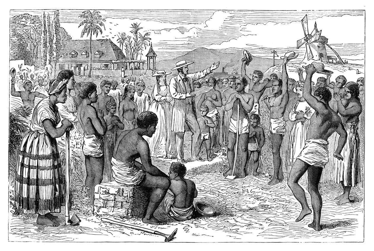 The Emancipation of Slaves on a West Indian Plantation by Unbekannt