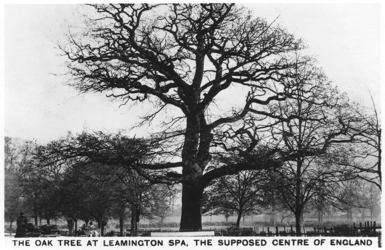 The Oak at Leamington Spa, the Supposed Centre of England by Unbekannt