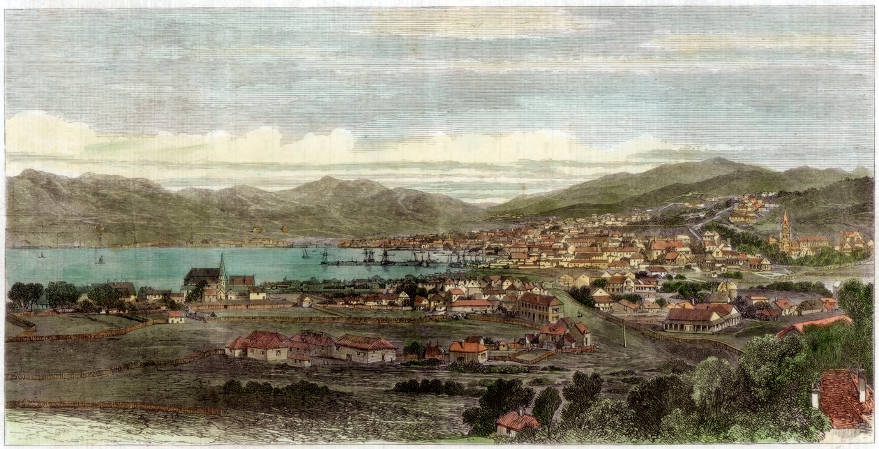 The Town and Port of Wellington, Capital of New Zealand by Unbekannt