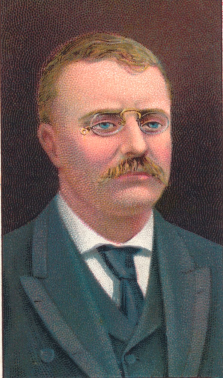 Theodore Roosevelt 1858-1919, 26th President of the United States by Unbekannt