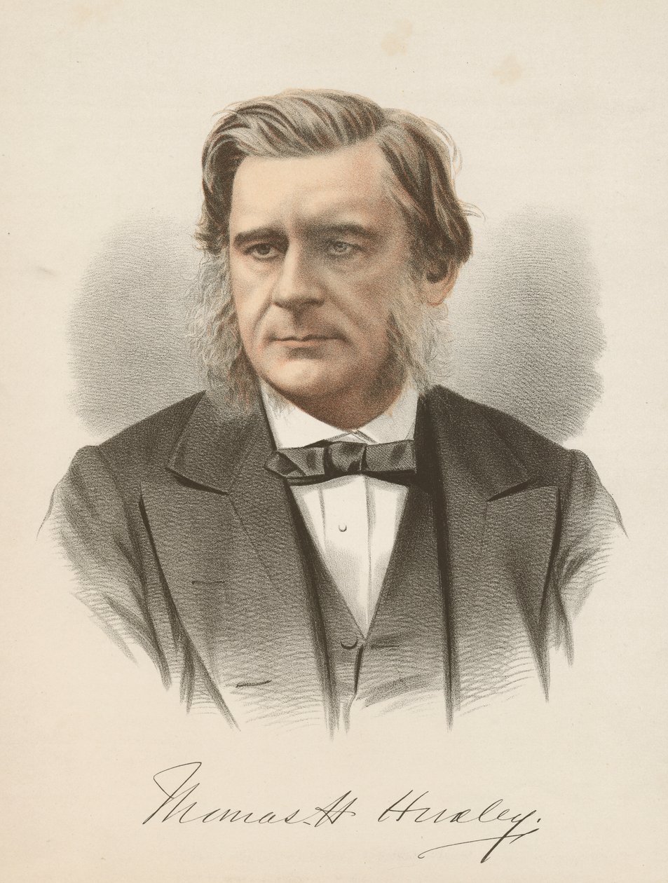 Thomas Henry Huxley, English biologist by Unbekannt