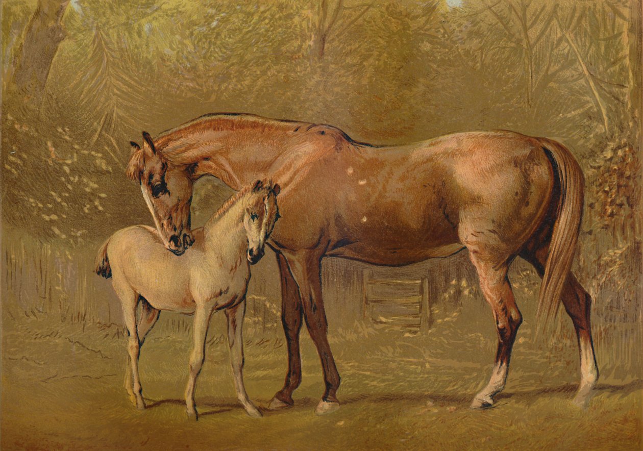 Thoroughbred Mare & Foal, 1879 by Unbekannt