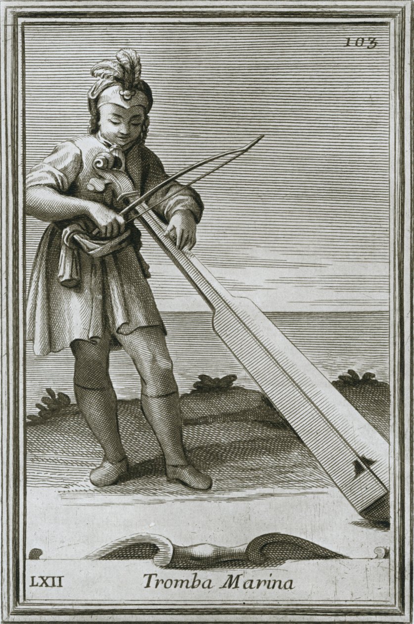 Trumscheit Tromba Marina, Engraving from F. Bonanni