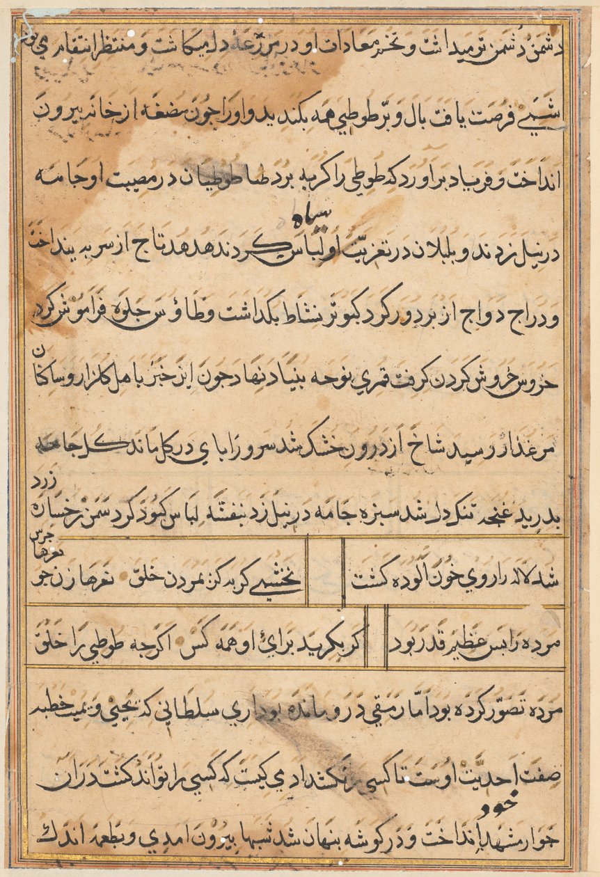 Tuti-Nama Tales of a Parrot by Unbekannt