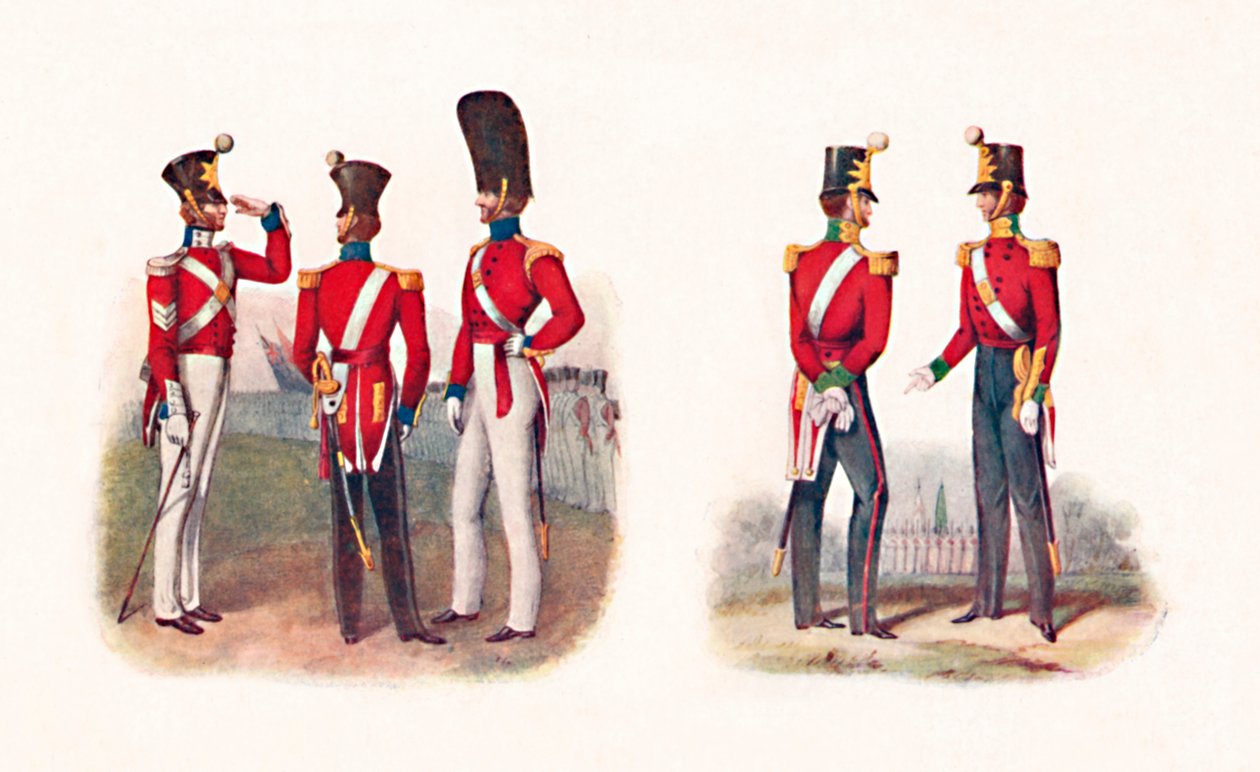 Uniforms of the 86th Regiment by Unbekannt