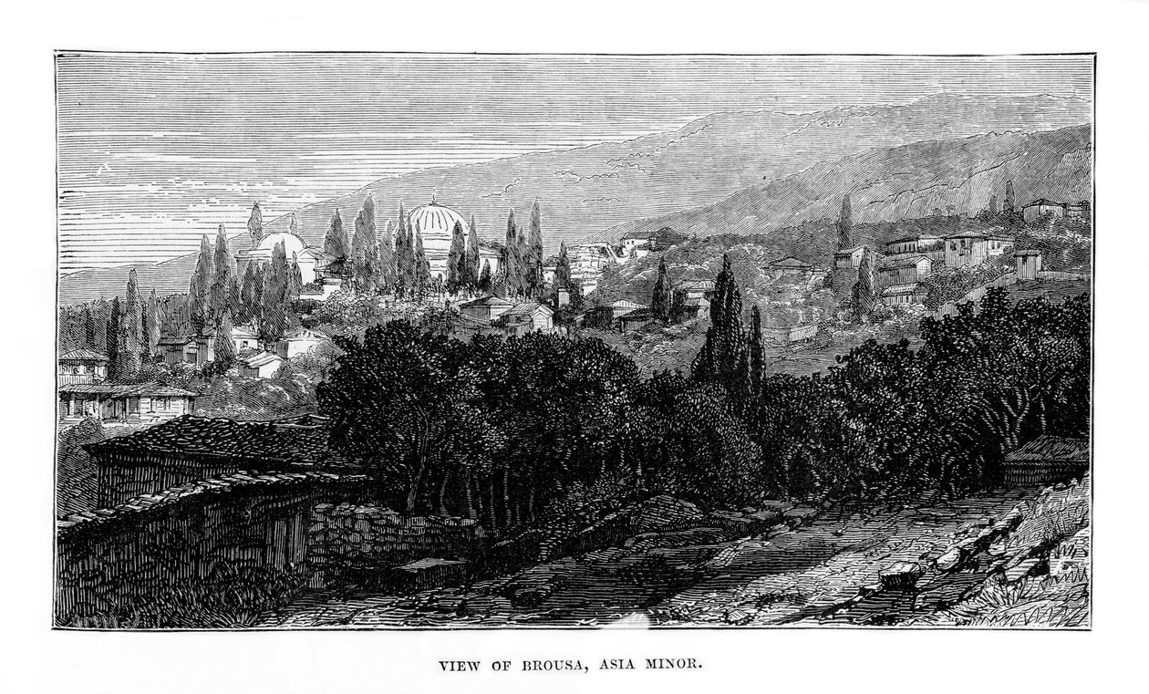 View of Brousa, Asia Minor by Unbekannt