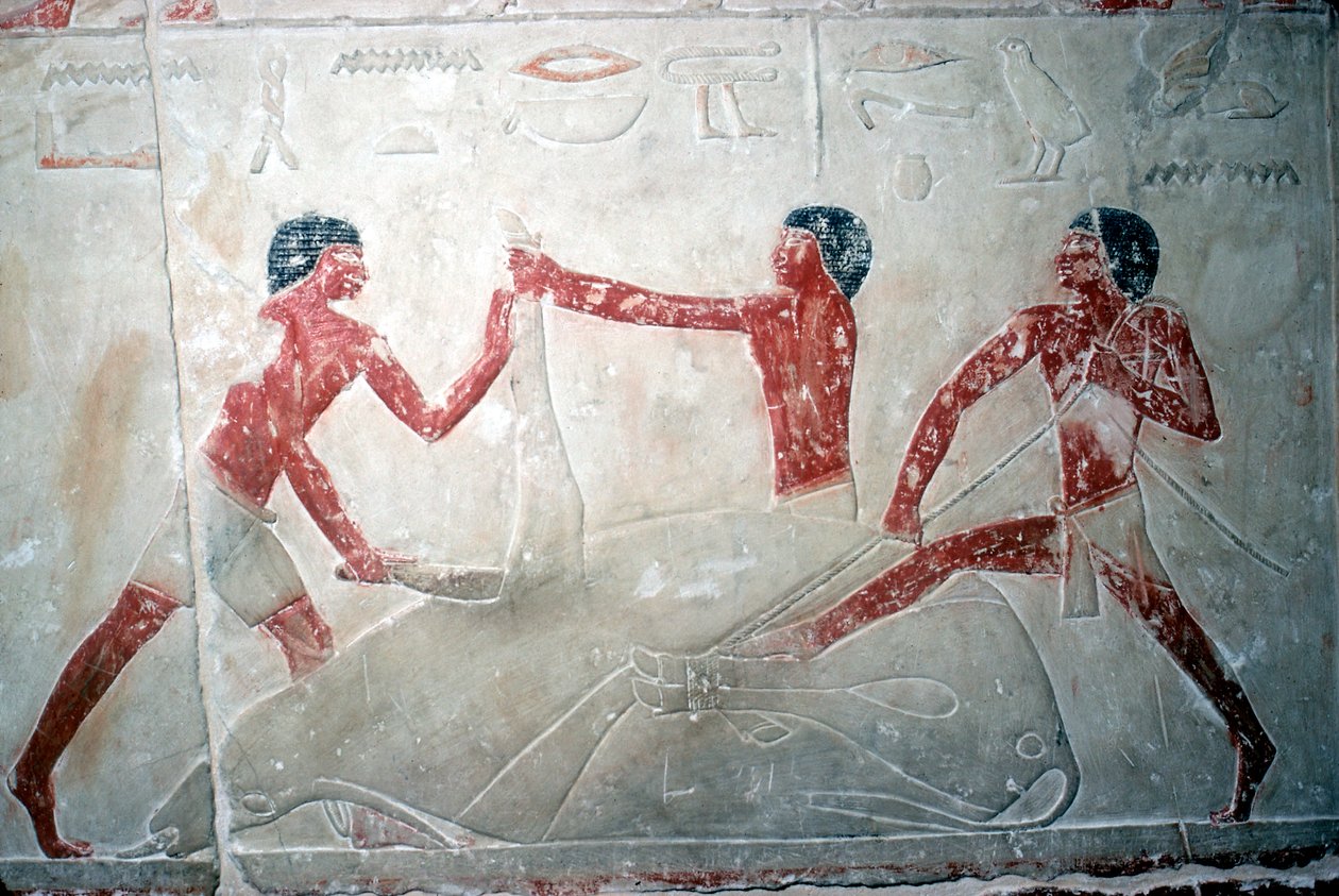 Wallpainting of 3 Butchers Cutting Up a Carcase, Tomb of Idut, 5th Dynasty by Unbekannt