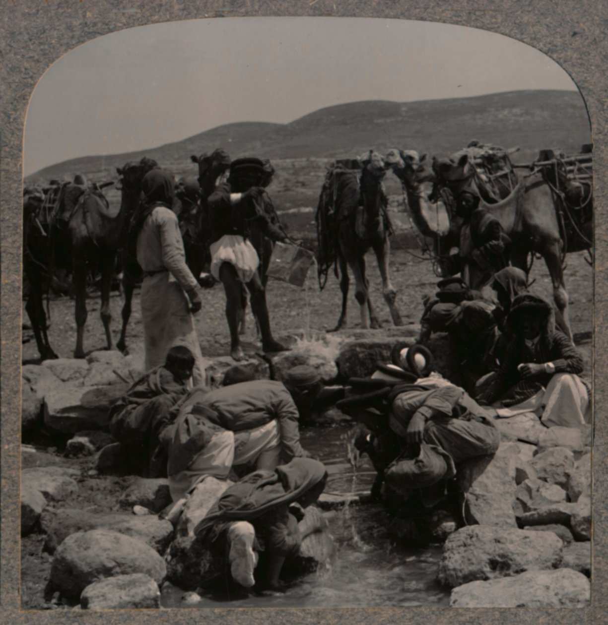 Watering camels at Jacob