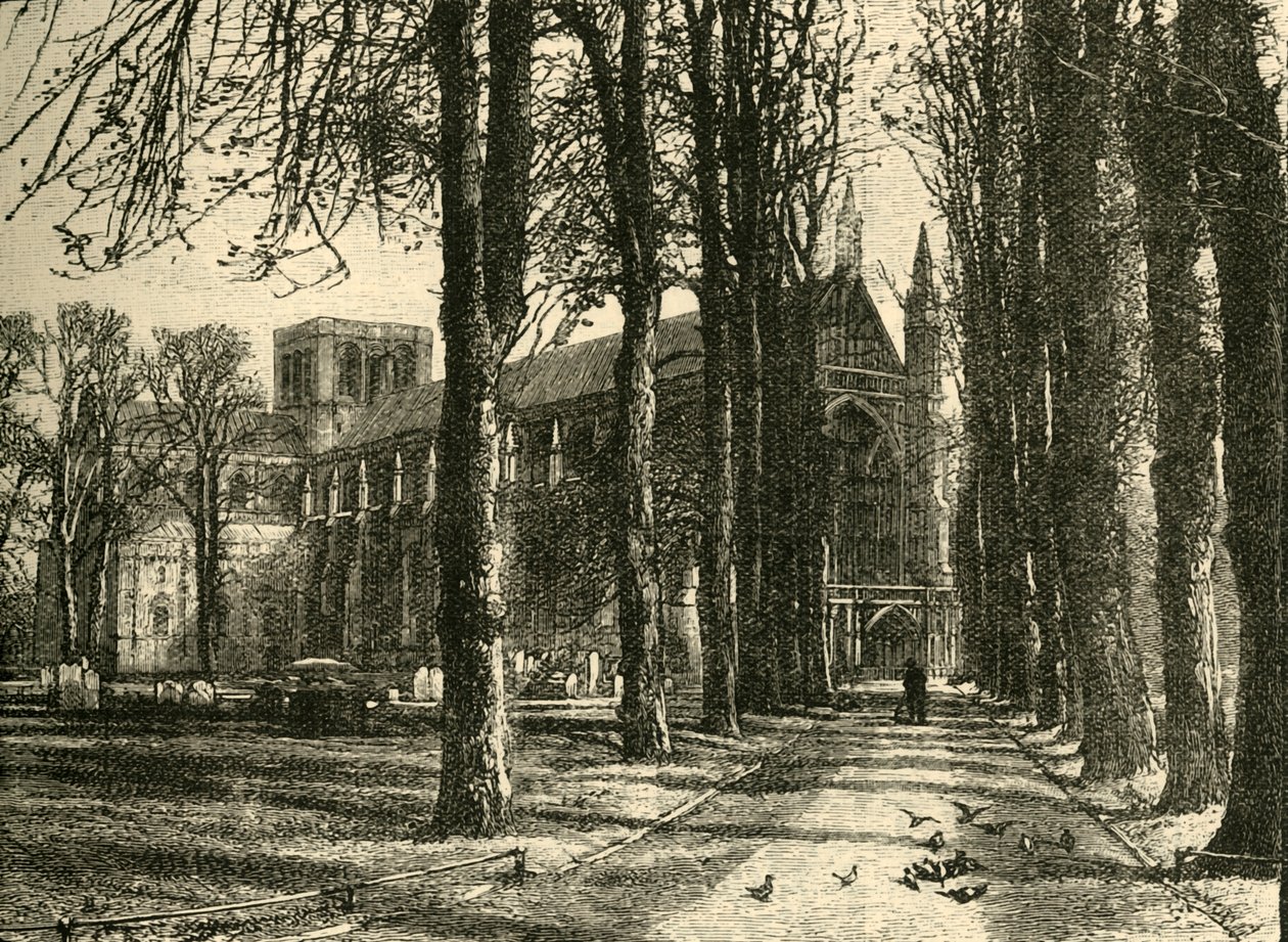 Winchester Cathedral, from the North-West, 1898 by Unbekannt