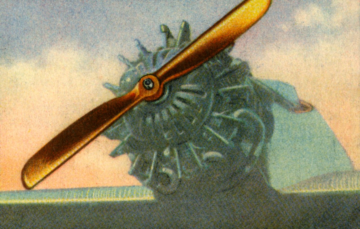 Wooden aircraft propeller made by the Schwarz Propeller-Werk company, 1932 by Unbekannt
