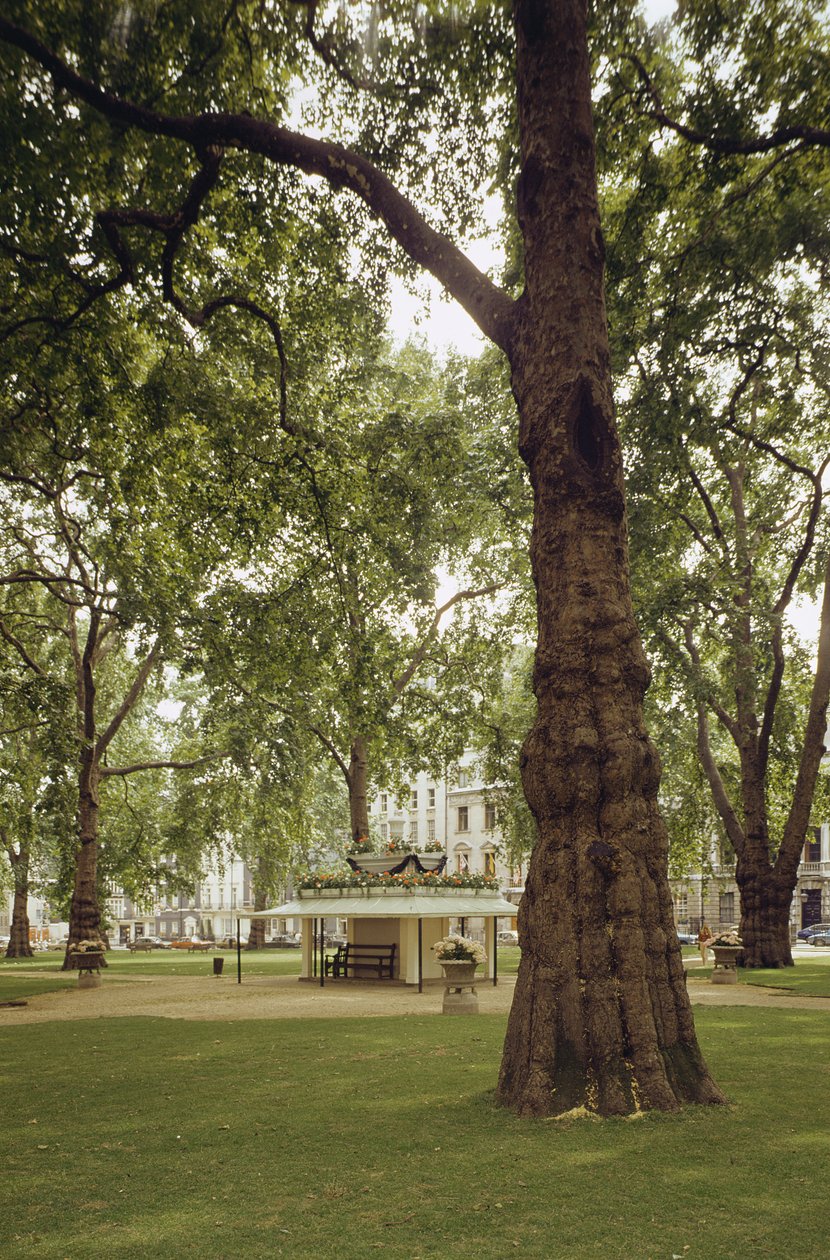 Berkeley Square, London W1 by Unbekannt Unbekannt