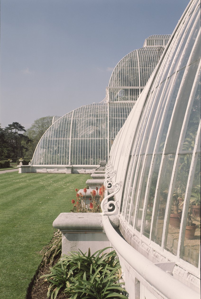 Section of the Palm House, designed by Decimus Burton by Unbekannt Unbekannt