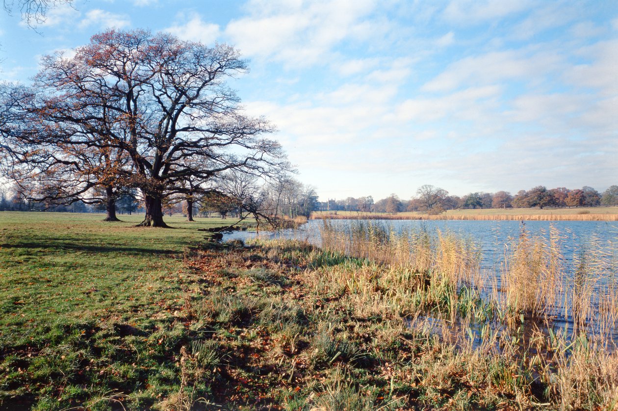 View of the Lake, Corsham Court, Wiltshire by Unbekannt Unbekannt