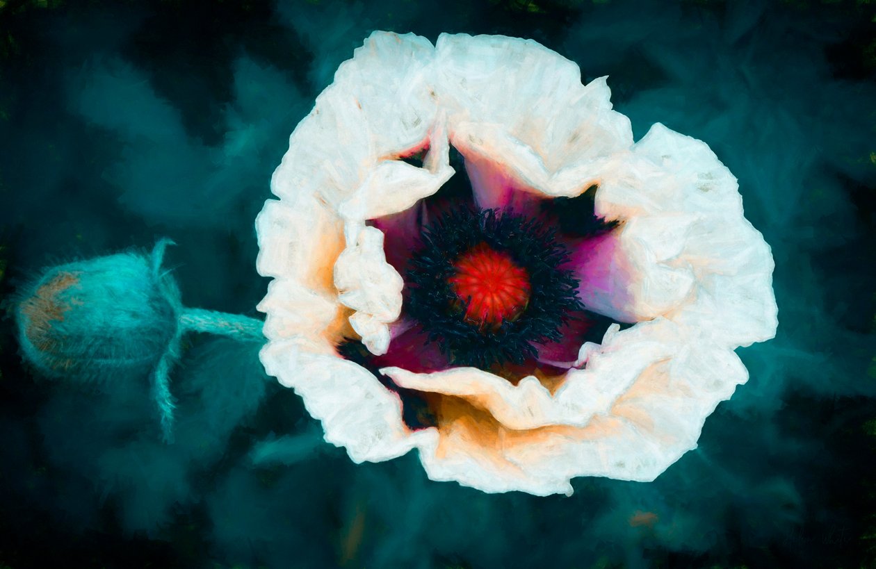 All Heart by Unbekannt Unbekannt