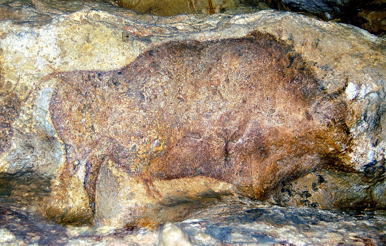 Bison in Font De Gaume by Unbekannt Unbekannt