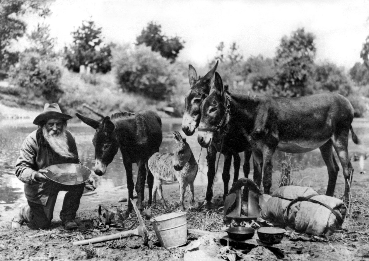 California Gold Miner by Unbekannt Unbekannt