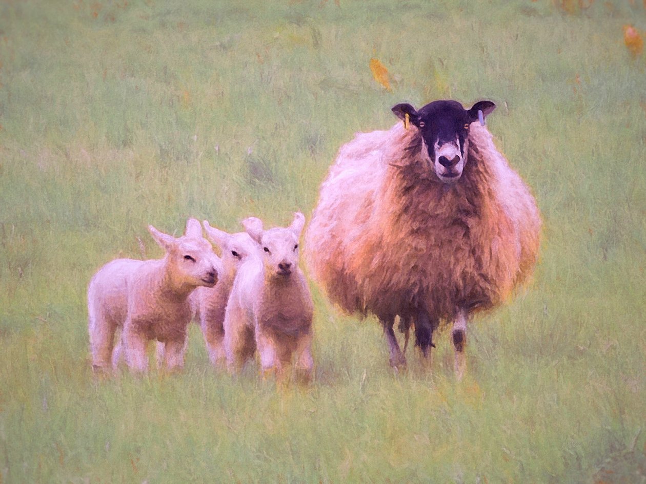 Triplets, 2018 by Unbekannt Unbekannt