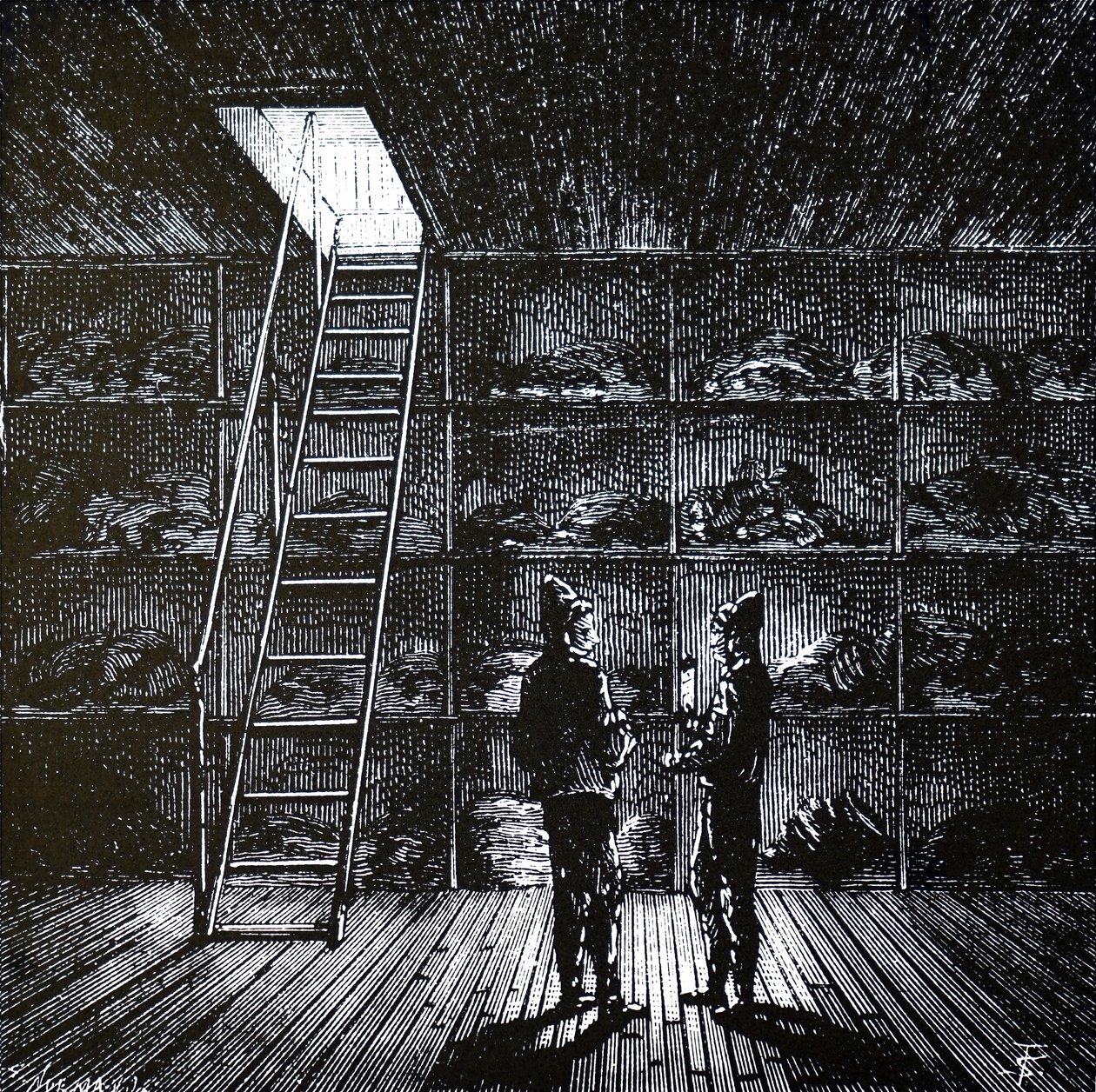 A cold storage room on a refrigerated ship by Unbekannt