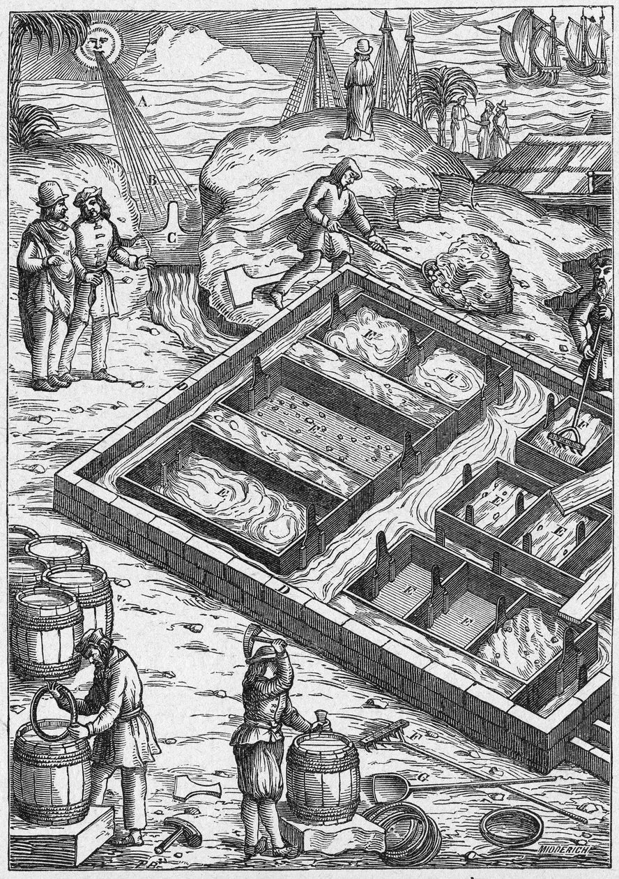 A Salt Marsh in the 16th Century by Unbekannter Künstler
