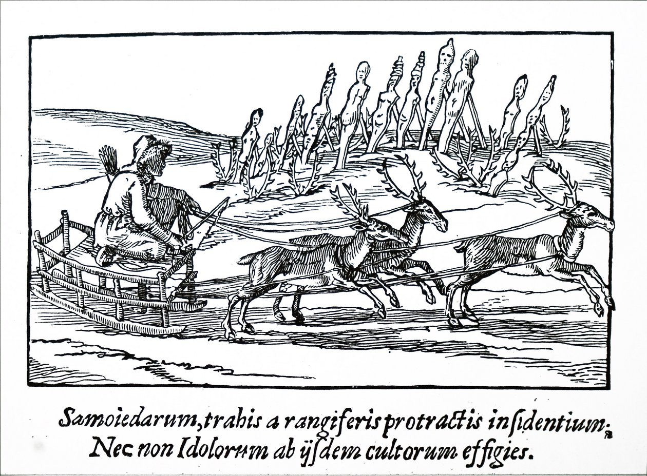 A sledge being pulled by reindeer in Northern Siberia by Unbekannt