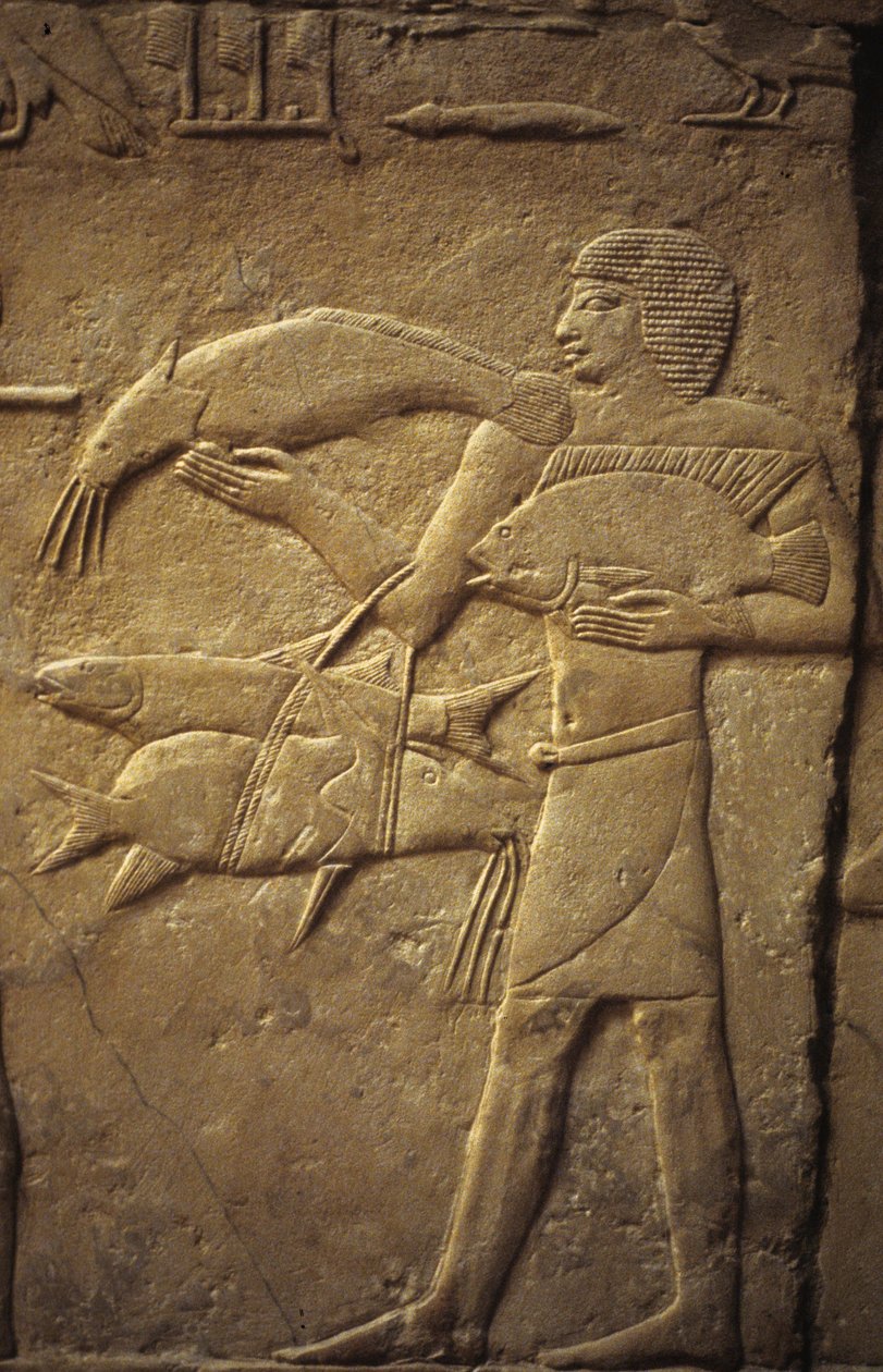 Ancient Egypt: Saqqarah: necropolis of the Old Empire, tomb of noble. Detail of reliefs representing a fisherman by Leopold Blonder