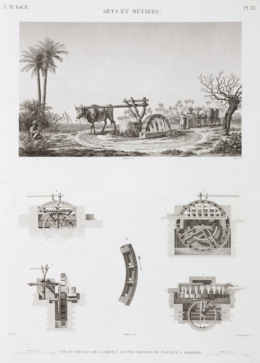 Animal-powered Irrigation, Egypt, c.1798 by Unbekannt