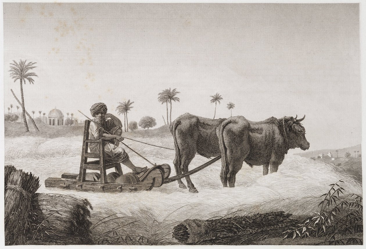 Threshing Machine, Egypt, c. 1798 by Unbekannt