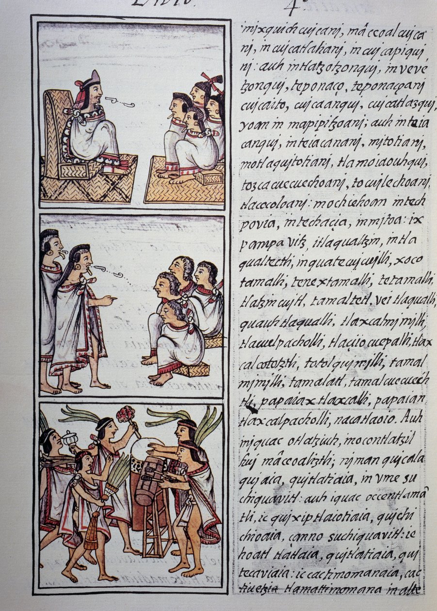 Aztec Society The Aztec Civilization: Mexico's Last Great Indigenous