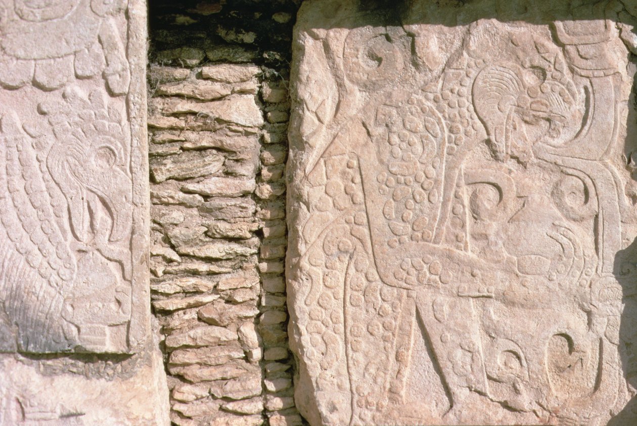 Bas relief depicting jaguars pulling out human hearts from sacrificial victims by William M. Timlin