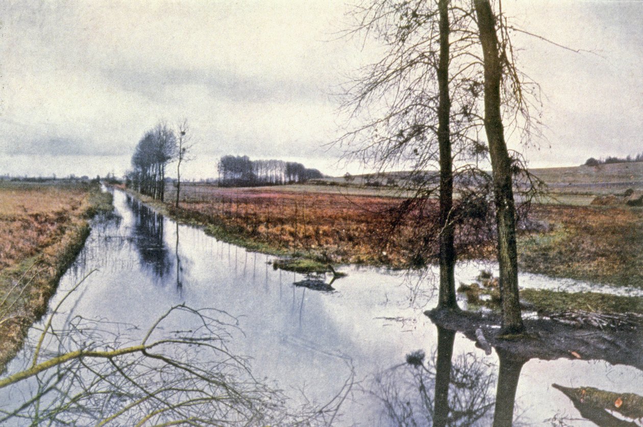 Battle of the Marne, marshes of Saint Gond by Unbekannter Künstler