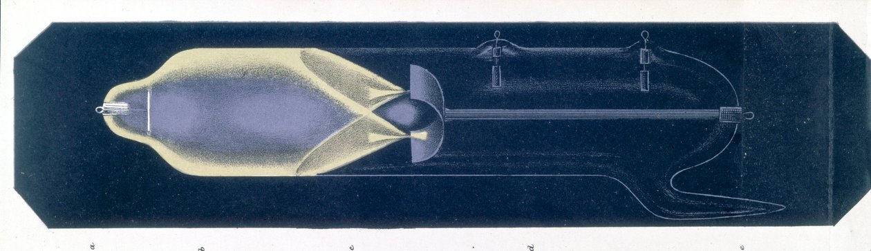 Fluorescence caused by cathode rays in a gas discharge tube by Unbekannt