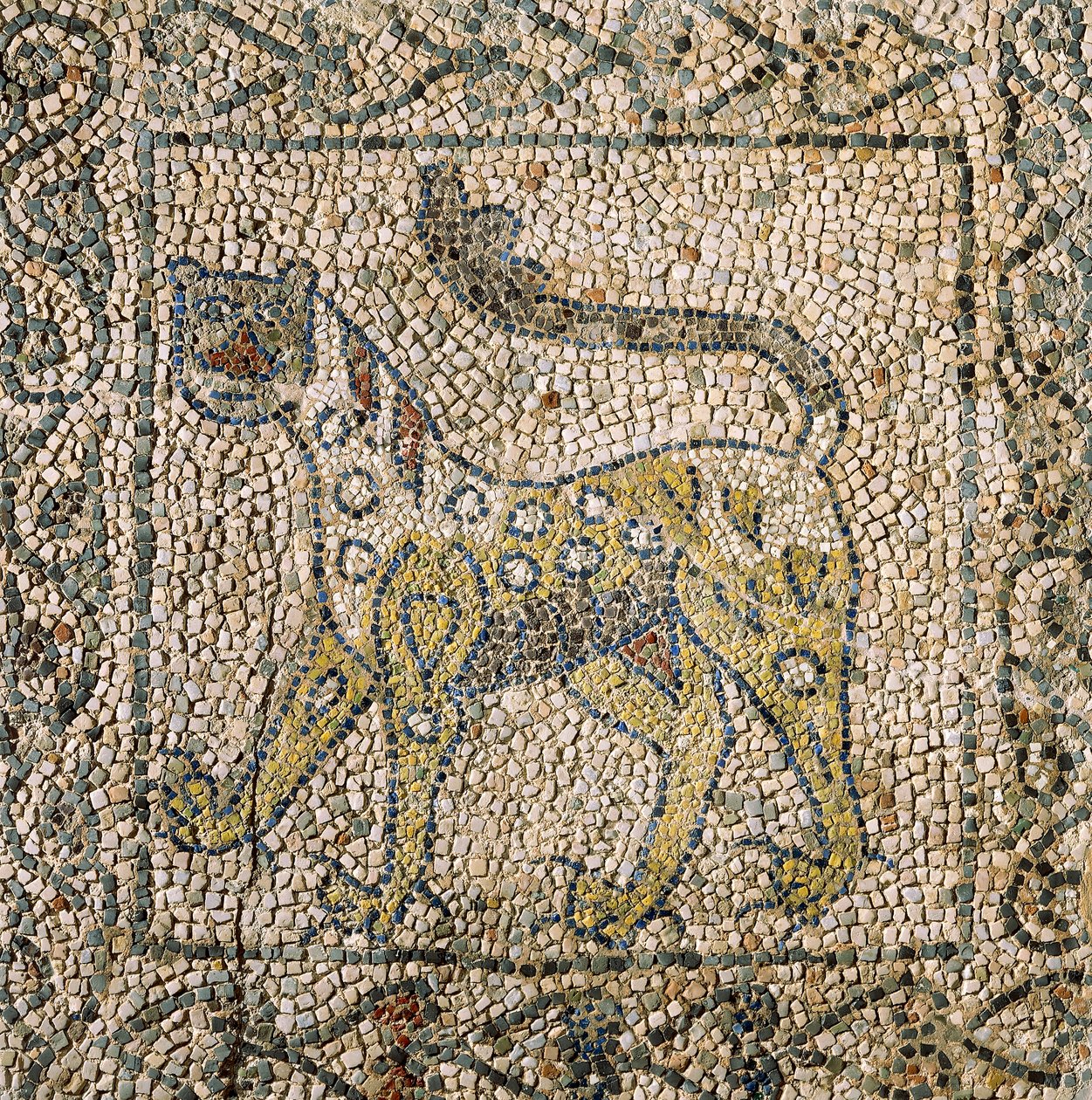 Church of Saint John Evangelist, Fourth Crusade, Fragments of mosaic floors representing spotted panther, Ravenna, Emilia-Romagna, Italy by William M. Timlin