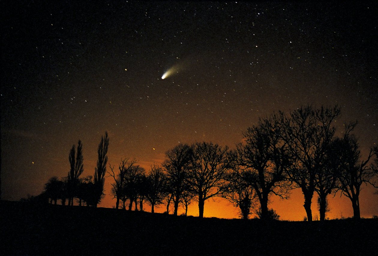 Comet Hale-Bopp by Unbekannt